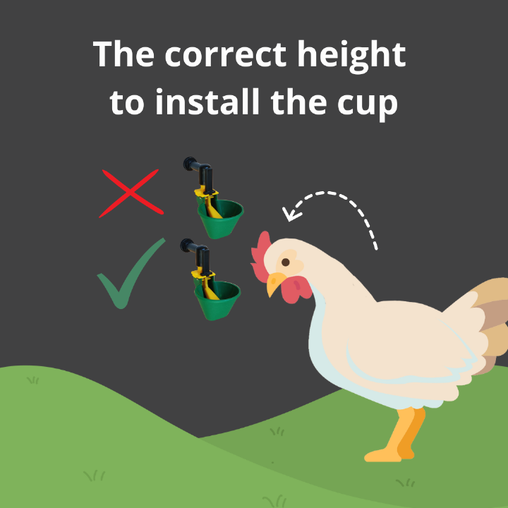 AviAqua Geflügeltränke